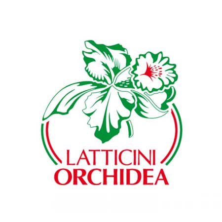 Orchidea